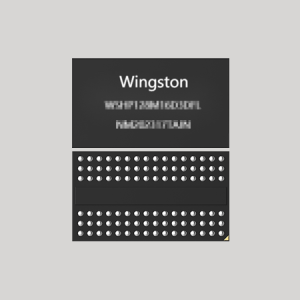 WSGR256M16D3DFL