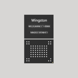 WS2GXANCCT-BBKK