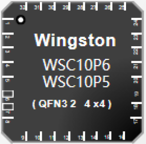 WSC10P6